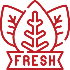 Image of customers enjoying ice cream at a top ice cream shop in Barcelona, Topping Circus, authored by Topping Circus & featured by http://toppingcircus.com/